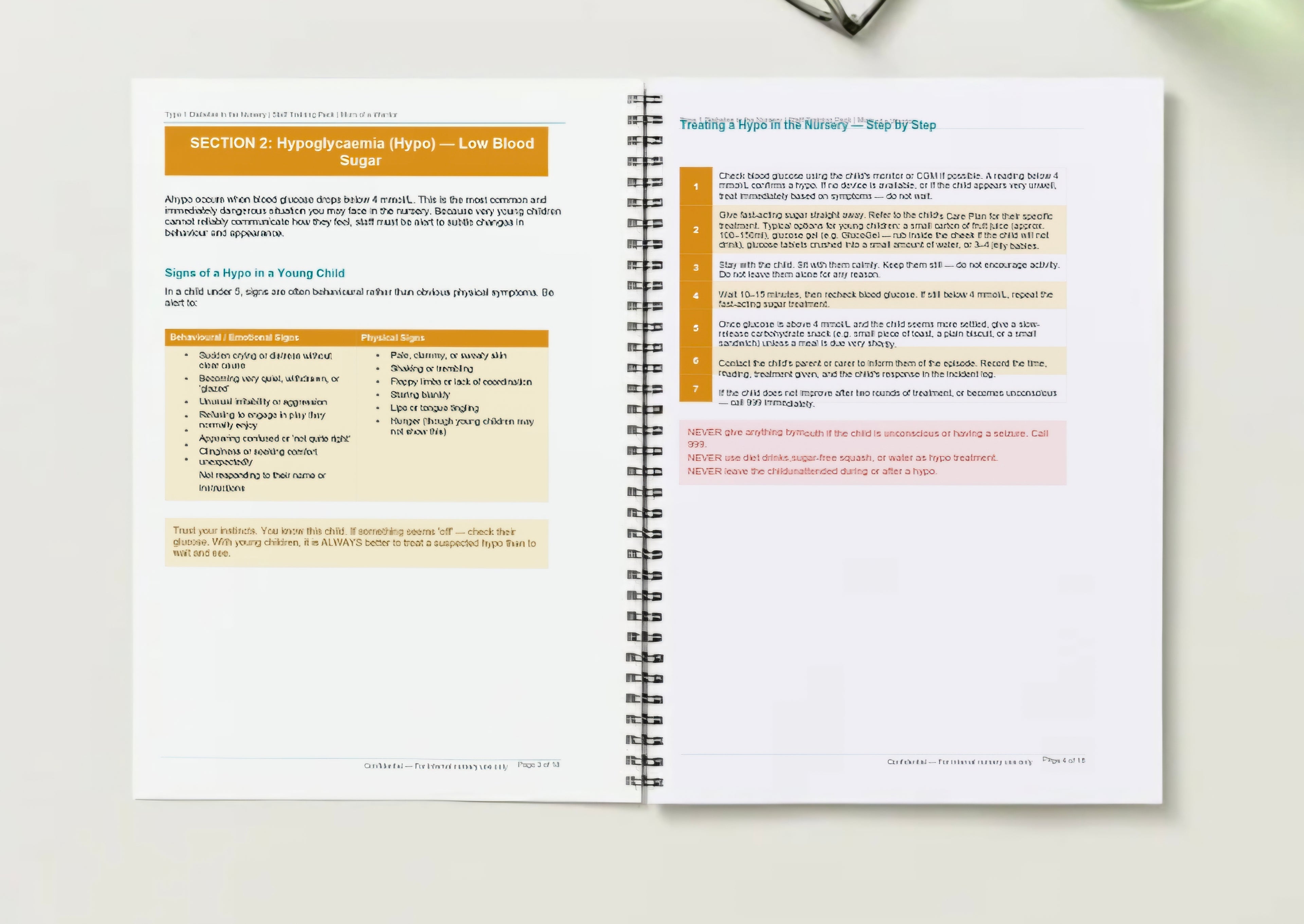 Type 1 Diabetes in Nursery Settings — Printed Bound Copy
